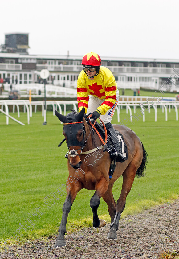 Jack-Doyen-0001 
 JACK DOYEN (Jack Quinlan)
Market Rasen 17 Nov 2022 - Pic Steven Cargill / Racingfotos.com