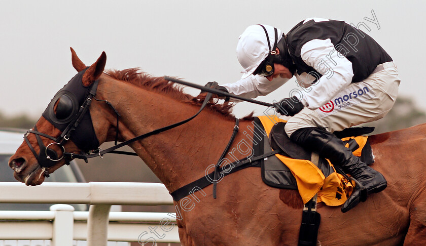 Captain-Chaos-0004 
 CAPTAIN CHAOS (Harry Skelton) wins The My Oddsboost On Betfair Swinley Chase
Ascot 20 Feb 2021 - Pic Steven Cargill / Racingfotos.com