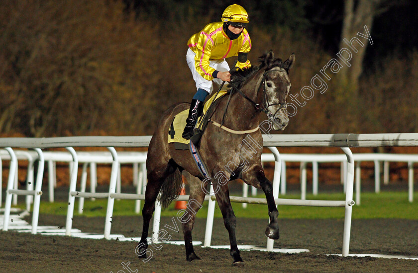 Filles-De-Fleur-0003 
 FILLES DE FLEUR (Rhys Clutterbuck)
Kempton 3 Feb 2021 - Pic Steven Cargill / Racingfotos.com