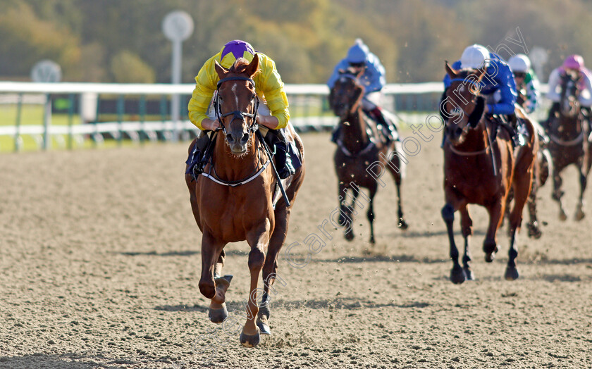 Sea-La-Rosa-0004 
 SEA LA ROSA (Tom Marquand) wins The Coral EBF River Eden Fillies Stakes
Lingfield 28 Oct 2021 - Pic Steven Cargill / Racingfotos.com