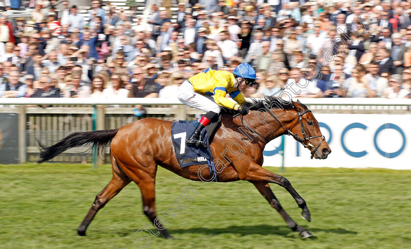 Stay-Alert-0002 
 STAY ALERT (David Egan) wins The William Hill Dahlia Stakes
Newmarket 5 May 2024 - Pic Steven Cargill / Racingfotos.com