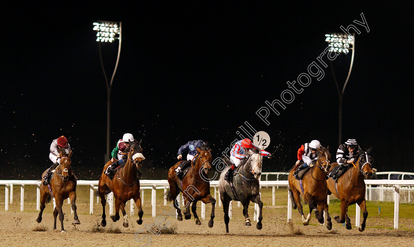 Rangali-Island-0001 
 RANGALI ISLAND (3rd left, Callum Shepherd) beats GLENN COCO (3rd right) MERCHANT OF VENICE (2nd right) SAMPHIRE COAST (right) SWISS CHEER (2nd left) and ALMUFTI (left) in The Bet totetrifecta At totesport.com Handicap
Chelmsford 11 Jan 2020 - Pic Steven Cargill / Racingfotos.com