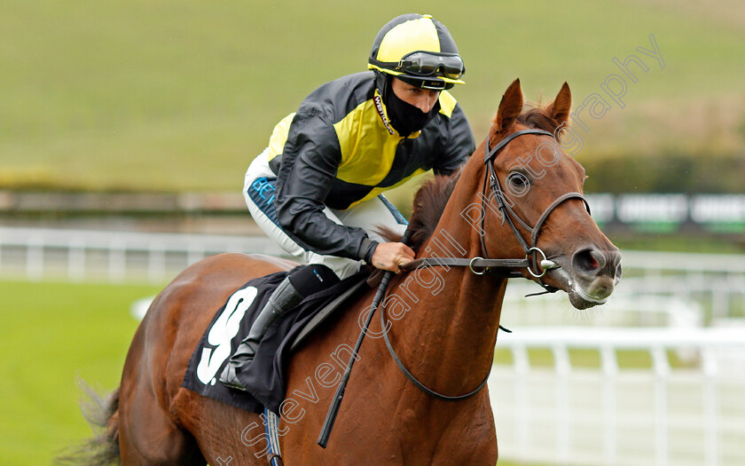 Gleeds-Girl-0001 
 GLEEDS GIRL (Nicola Currie)
Goodwood 23 Sep 2020 - Pic Steven Cargill / Racingfotos.com