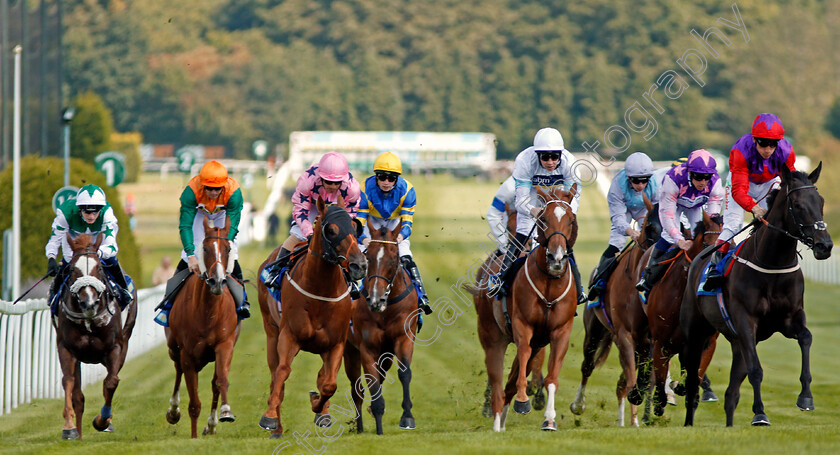 Justice-Lady-0004 
 JUSTICE LADY (right, Shane Kelly) beats SUPER JULIUS (2nd right) and BAHAMIAN SUNRISE (3rd left) in The Betfinder By BetBright Handicap Sandown 2 Sep 2017 - Pic Steven Cargill / Racingfotos.com