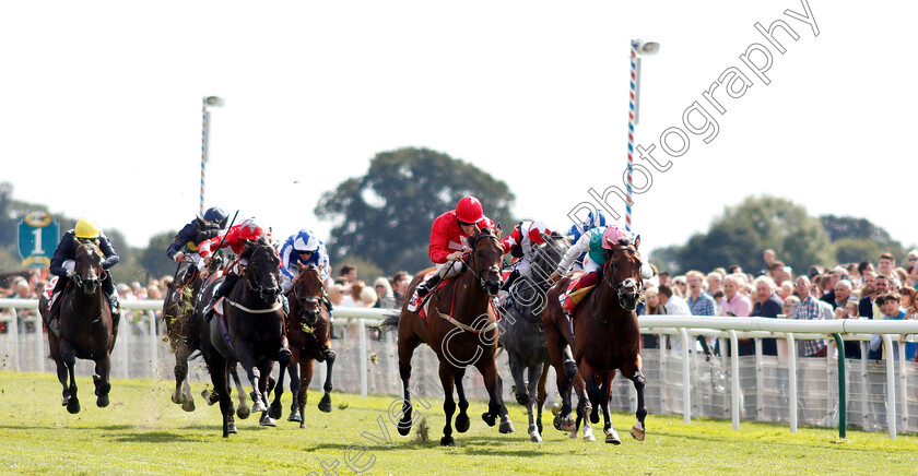 Expert-Eye-0001 
 EXPERT EYE (Frankie Dettori) beats GORDON LORD BYRON (2nd right) in The Sky Bet City Of York Stakes
York 25 Aug 2018 - Pic Steven Cargill / Racingfotos.com