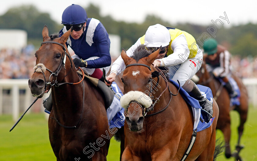 Forza-Orta-0001 
 FORZA ORTA (right, Rowan Scott) beats AZTEC EMPIRE (left) in The Sky Bet Stayers Handicap
York 23 Aug 2023 - Pic Steven Cargill / Racingfotos.com