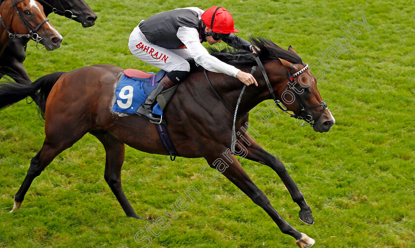 Megallan-0007 
 MEGALLAN (Robert Havlin) wins The D & N Construction Sovereign Stakes
Salisbury 12 Aug 2021 - Pic Steven Cargill / Racingfotos.com