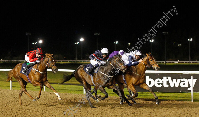 Show-Maker-0003 
 SHOW MAKER (right, Callum Rodriguez) beats REGAL ENVOY (centre) and KING OF JUNGLE (left) in The Betway Novice Stakes
Wolverhampton 11 Mar 2022 - Pic Steven Cargill / Racingfotos.com