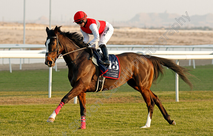 Deirdre-0003 
 DEIRDRE (Hollie Doyle)
Bahrain 20 Nov 2020 - Pic Steven Cargill / Racingfotos.com