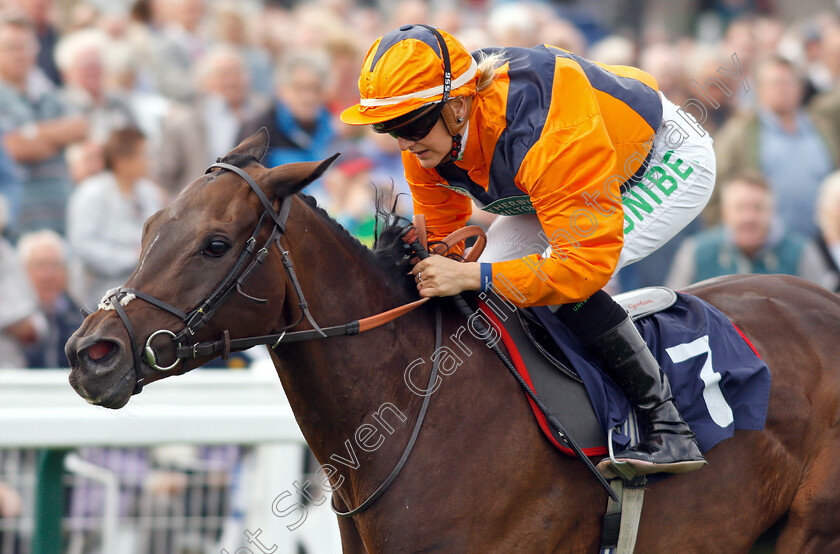 Potters-Lady-Jane-0008 
 POTTERS LADY JANE (Josephine Gordon) wins The British EBF Fillies Handicap
Yarmouth 20 Sep 2018 - Pic Steven Cargill / Racingfotos.com