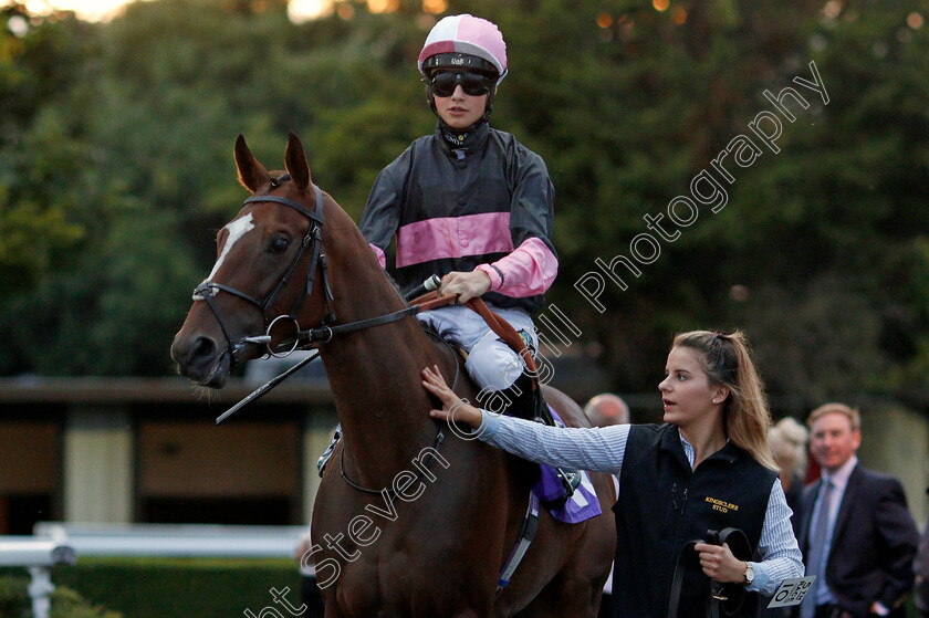 Rectory-Road-0001 
 RECTORY ROAD (William Cox)
Kempton 3 Sep 2019 - Pic Steven Cargill / Racingfotos.com