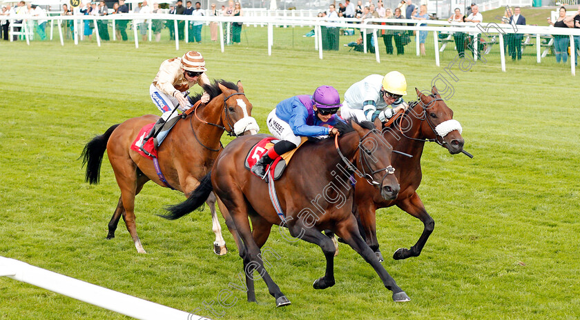 Dubai-Instinct-0003 
 DUBAI INSTINCT (Angus Villiers) beats SIMOON (right) in The Betway Casino Handicap
Sandown 31 Aug 2019 - Pic Steven Cargill / Racingfotos.com