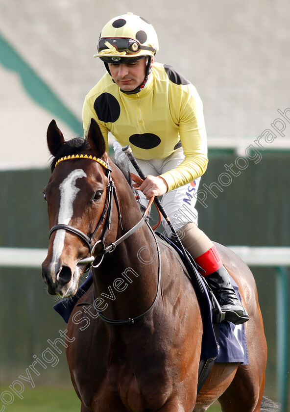 Fujaira-King-0001 
 FUJAIRA KING (Andrea Atzeni)
Yarmouth 23 Apr 2019 - Pic Steven Cargill / Racingfotos.com