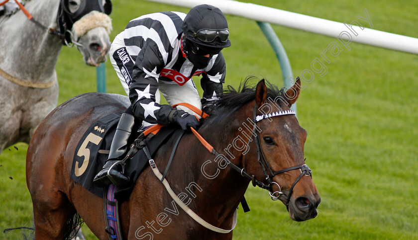 Wrenthorpe-0006 
 WRENTHORPE (Graham Lee) wins The Mansionbet Proud To Support British Racing Handicap
Nottingham 14 Oct 2020 - Pic Steven Cargill / Racingfotos.com