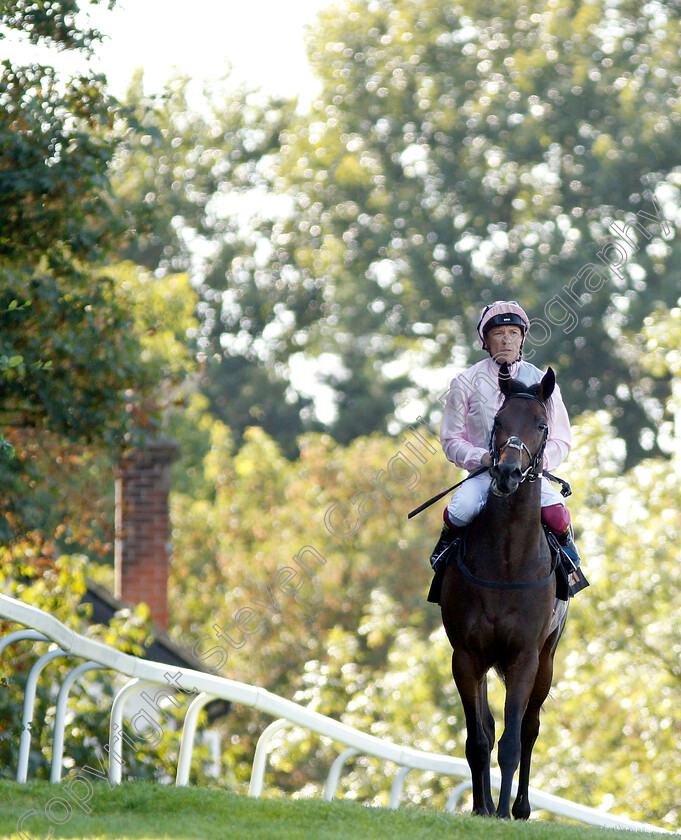 Too-Darn-Hot-0010 
 TOO DARN HOT (Frankie Dettori) after The 188bet Solario Stakes
Sandown 1 Sep 2018 - Pic Steven Cargill / Racingfotos.com