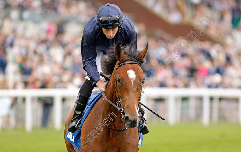 Tuesday-0002 
 TUESDAY (Ryan Moore)
York 18 Aug 2022 - Pic Steven Cargill / Racingfotos.com