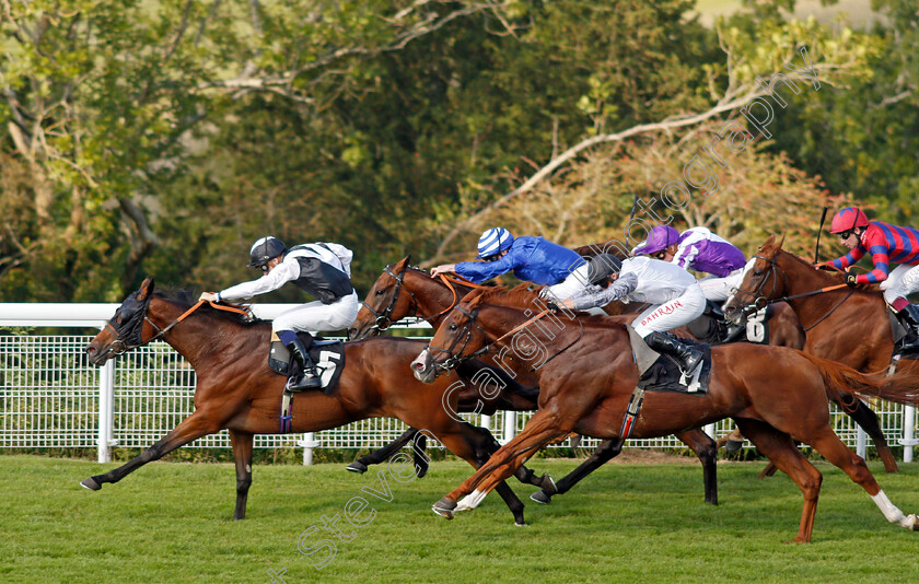 Victory-Chime-0009 
 VICTORY CHIME (Hector Crouch) beats TYSON FURY (right) in The Best of British Events Foundation Stakes
Goodwood 22 Sep 2021 - Pic Steven Cargill / Racingfotos.com