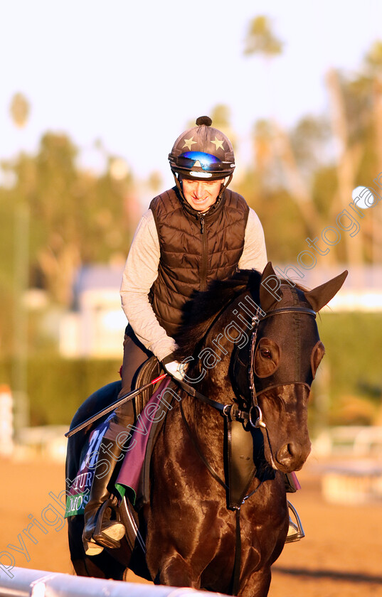 Mostahdaf-0002 
 MOSTAHDAF training for The Breeders' Cup Turf
Santa Anita USA, 31 October 2023 - Pic Steven Cargill / Racingfotos.com