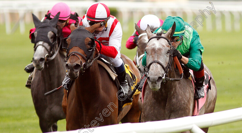 Homerique-0002 
 HOMERIQUE (right, Irad Ortiz) beats COMPETITIONOFIDEAS (centre) in The New York Stakes
Belmont Park USA 7 Jun 2019 - Pic Steven Cargill / Racingfotos.com