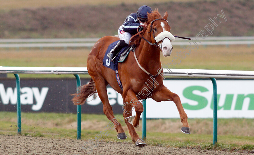 Harvey-Dent-0007 
 HARVEY DENT (Hollie Doyle) wins The Ladbrokes Home Of The Odds Boost Novice Median Auction Stakes
Lingfield 25 Jan 2019 - Pic Steven Cargill / Racingfotos.com