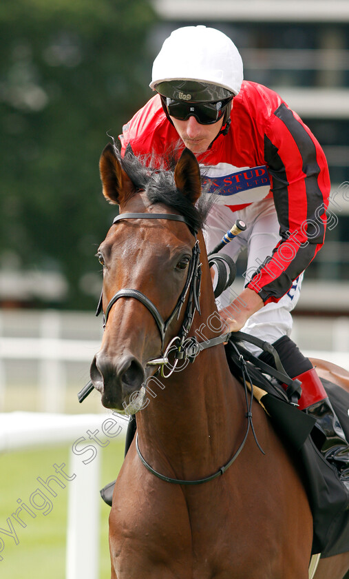 Appier-0001 
 APPIER (Adam Kirby)
Newbury 13 Aug 2021 - Pic Steven Cargill / Racingfotos.com