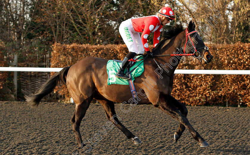 Swiss-Cross-0001 
 SWISS CROSS (Josephine Gordon)
Kempton 4 Jan 2019 - Pic Steven Cargill / Racingfotos.com