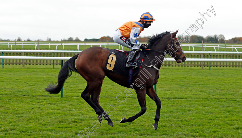 Point-Louise-0001 
 POINT LOUISE (Hayley Turner)
Newmarket 30 Oct 2020 - Pic Steven Cargill / Racingfotos.com