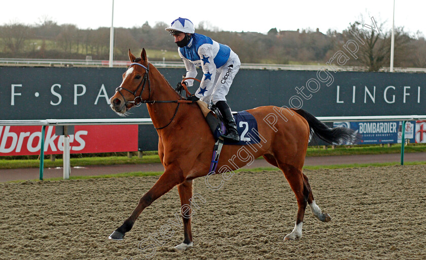 Johnny-Drama-0001 
 JOHNNY DRAMA (Daniel Tudhope)
Lingfield 19 Dec 2020 - Pic Steven Cargill / Racingfotos.com