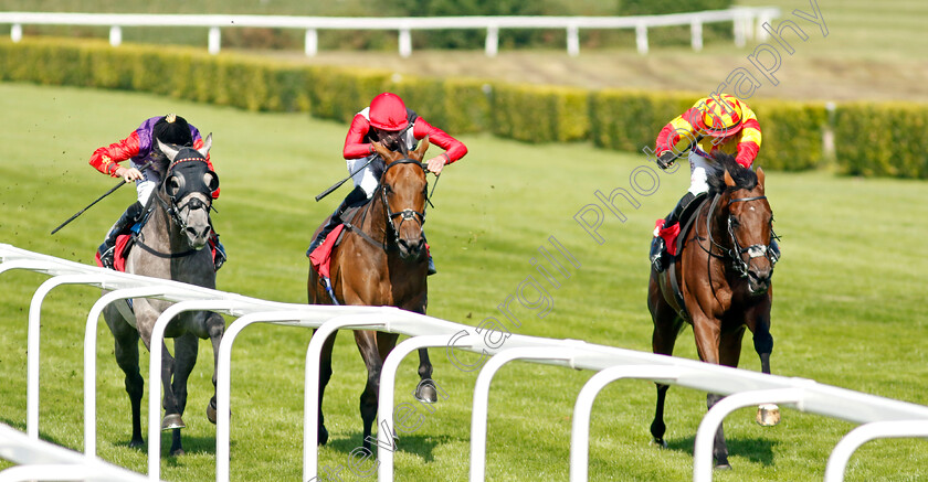 Savvy-Victory-0008 
 SAVVY VICTORY (right, Tom Marquand) beats POKER FACE (centre) and SAGA (left) in The Davies Insurance Solutions Gala Stakes
Sandown 7 Jul 2023 - Pic Steven Cargill / Racingfotos.com