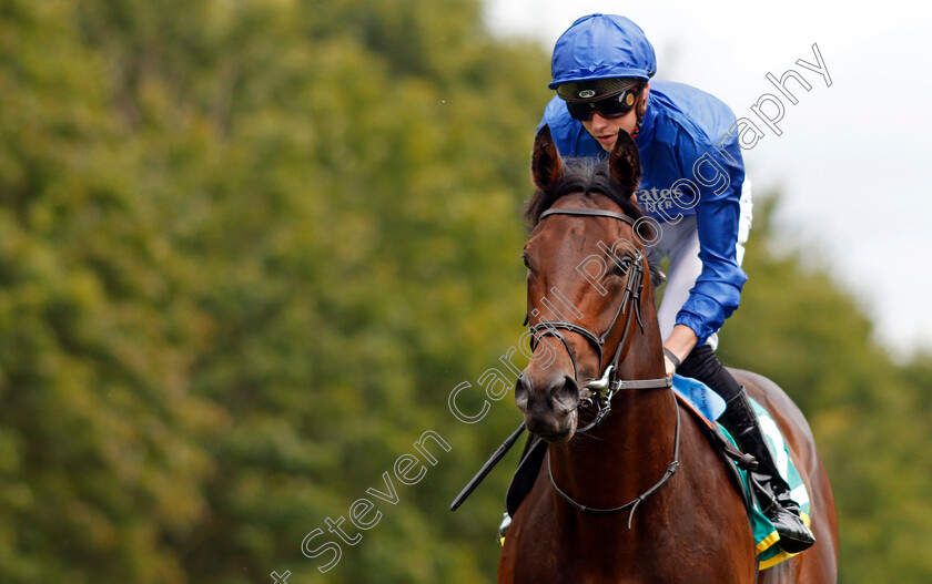 King s-Command-0003 
 KING'S COMMAND (James Doyle)
Newmarket 13 Jul 2019 - Pic Steven Cargill / Racingfotos.com