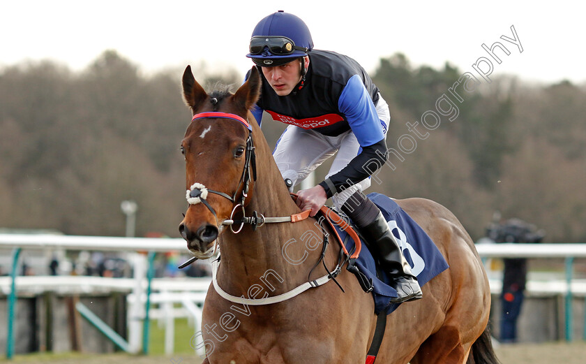 Media-Shooter-0002 
 MEDIA SHOOTER (Clifford Lee)
Lingfield 20 Jan 2024 - Pic Steven Cargill / Racingfotos.com