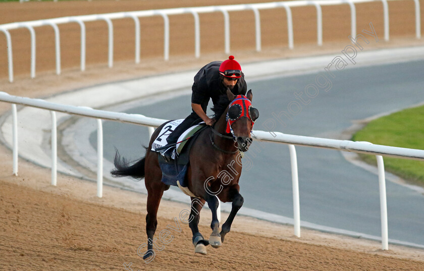 King-Of-The-Match-0002 
 KING OF THE MATCH training at the Dubai World Cup Carnival
Meydan 5 Jan 2023 - Pic Steven Cargill / Racingfotos.com