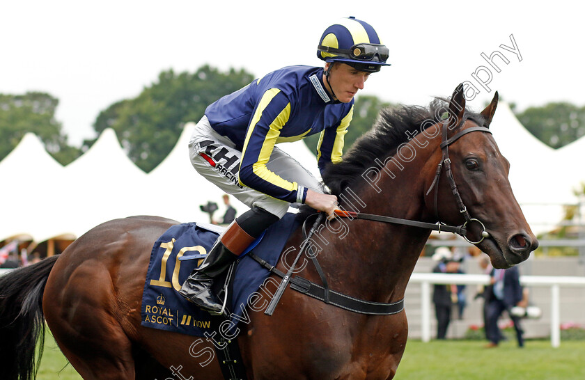 Pearling-Path 
 PEARLING PATH (David Egan)
Royal Ascot 18 Jun 2022 - Pic Steven Cargill / Racingfotos.com