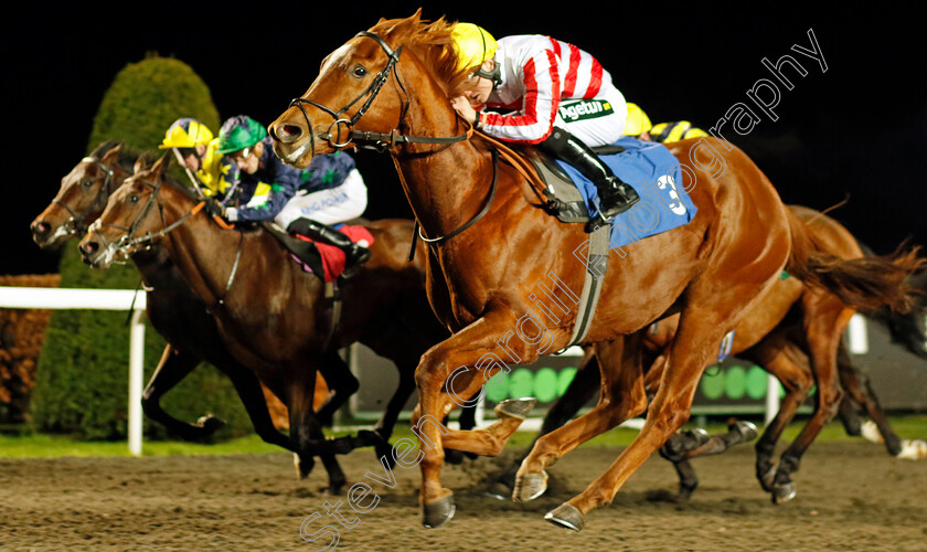 Arcturian-0001 
 ARCTURIAN (George Rooke) wins The British Stallion Studs EBF Restricted Novice Stakes
Kempton 13 Dec 2023 - Pic Steven Cargill / Racingfotos.com