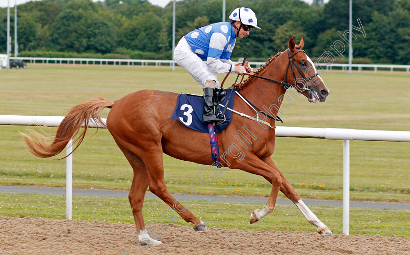 Lord-Of-The-Alps-0001 
 LORD OF THE ALPS (Joe Fanning)
Wolverhampton 17 Jul 2019 - Pic Steven Cargill / Racingfotos.com