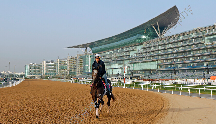 Pandagate-0002 
 PANDAGATE training for The UAE Derby
Meydan Dubai 28 Mar 2024 - Pic Steven Cargill / Racingfotos.com