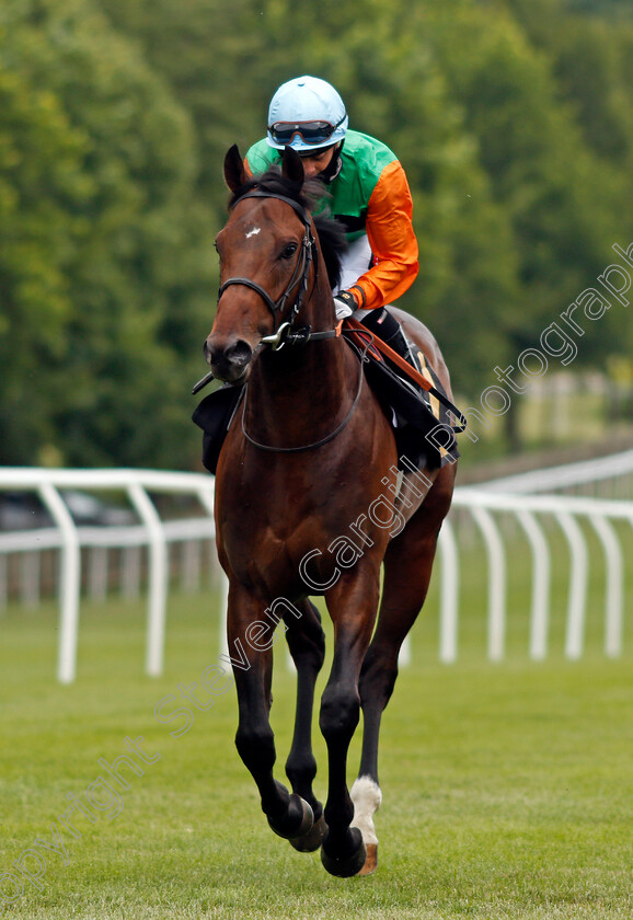 Jungle-Run-0001 
 JUNGLE RUN (Hayley Turner)
Newmarket 24 Jun 2021 - Pic Steven Cargill / Racingfotos.com