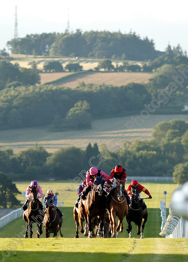 So-Near-So-Farhh-0001 
 SO NEAR SO FARHH (right, Franny Norton) beats JACOB CATS (left) in The comparebettingsites.com Handicap
Chepstow 2 Jul 2019 - Pic Steven Cargill / Racingfotos.com