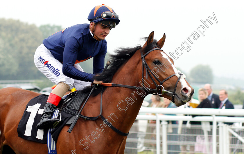 Siam-Dawn-0001 
 SIAM DAWN (Andrea Atzeni)
Goodwood 24 May 2018 - Pic Steven Cargill / Racingfotos.com