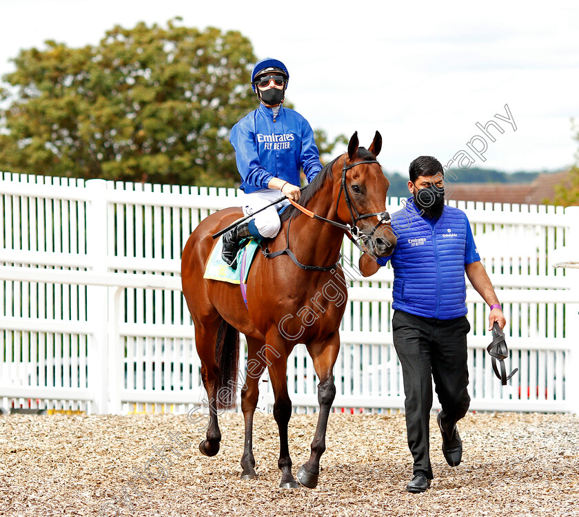 Dream-Castle-0001 
 DREAM CASTLE (Kevin Stott)
Newbury 19 Jul 2020 - Pic Steven Cargill / Racingfotos.com