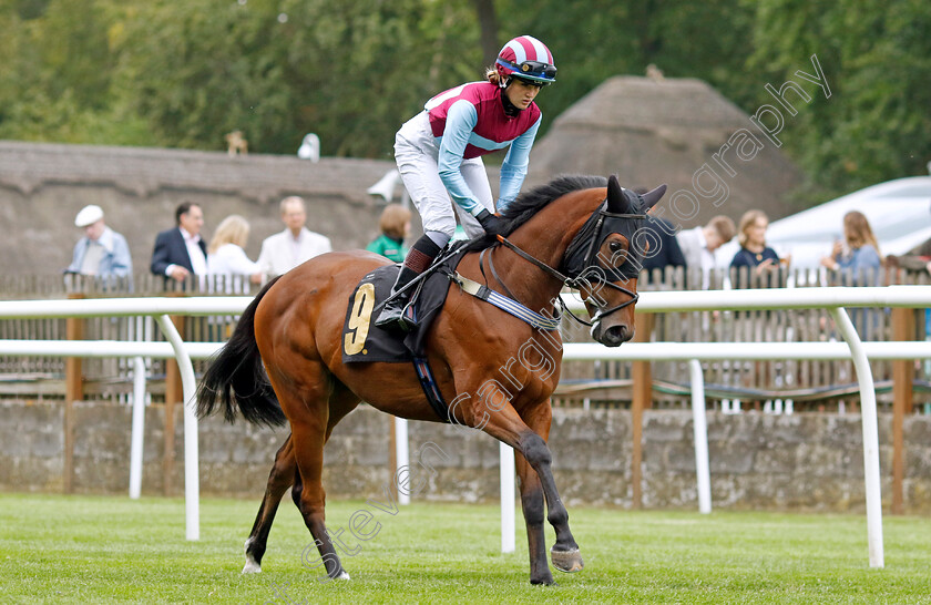 Scarlet-Rosie-0001 
 SCARLET ROSIE (Molly Presland)
Newmarket 30 Jun 2023 - Pic Steven Cargill / Racingfotos.com