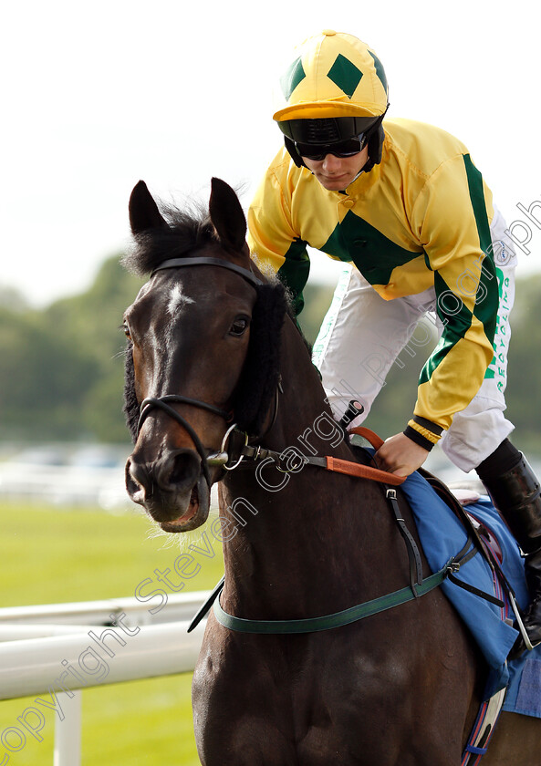 Je-Suis-Charlie-0001 
 JE SUIS CHARLIE (Jason Hart)
York 16 May 2018 - Pic Steven Cargill / Racingfotos.com