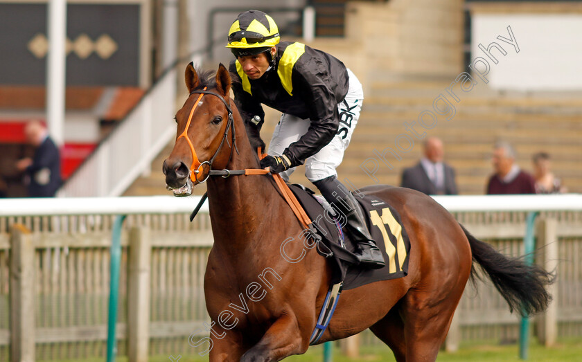 Fihrayn-0001 
 FIHRAYN (Sean Levey)
Newmarket 28 Sep 2023 - Pic Steven Cargill / Racingfotos.com