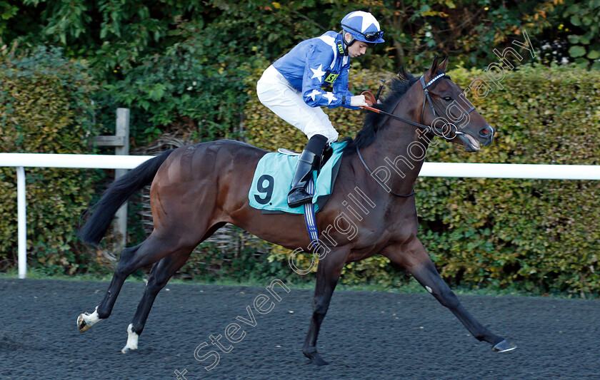 Temujin-0001 
 TEMUJIN (Callum Shepherd)
Kempton 27 Sep 2018 - Pic Steven Cargill / Racingfotos.com