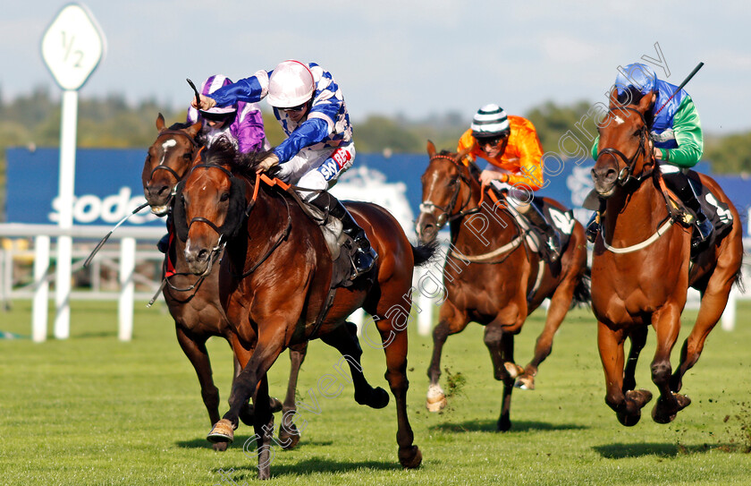 Leader-Writer-0001 
 LEADER WRITER (Fran Berry) wins The Weatherbys Handicap Ascot 8 Sep 2017 - Pic Steven Cargill / Racingfotos.com