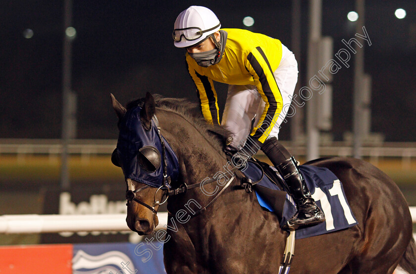 Stanley-Baldwin-0001 
 STANLEY BALDWIN (Callum Shepherd)
Wolverhampton 7 Jan 2021 - Pic Steven Cargill / Racingfotos.com