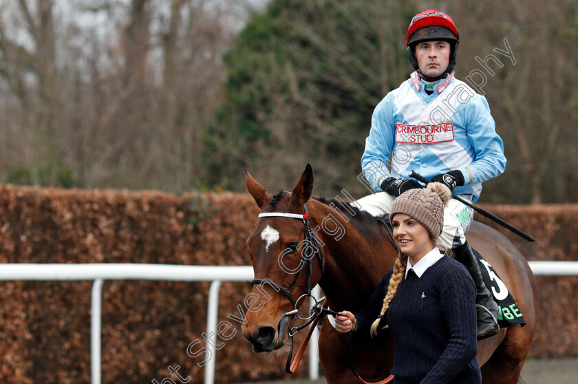 Verdana-Blue-0008 
 VERDANA BLUE (Nico De Boinville) after The Unibet Christmas Hurdle
Kempton 26 Dec 2018 - Pic Steven Cargill / Racingfotos.com