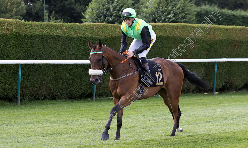 Daring-Leader-0001 
 DARING LEADER (Harry Russell)
Nottingham 19 Jul 2024 - Pic Steven Cargill / Megan Dent / Racingfotos.com