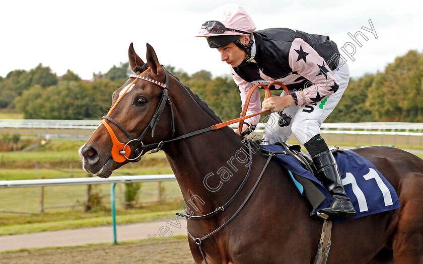 Revolver-0001 
 REVOLVER (Luke Morris)
Lingfield 3 Oct 2019 - Pic Steven Cargill / Racingfotos.com