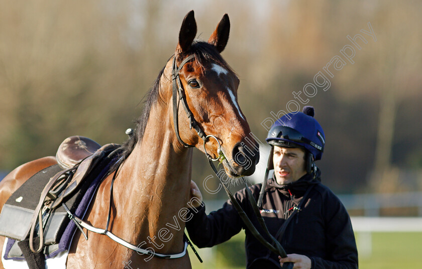 Put-The-Kettle-On-0003 
 PUT THE KETTLE ON (Aidan Coleman) after exercise on the eve of the Cheltenham Festival
Cheltenham 14 Mar 2022 - Pic Steven Cargill / Racingfotos.com